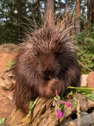 2019-07-10 10 45 23.JPG